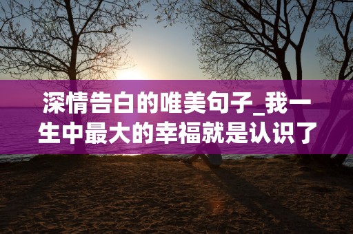 深情告白的唯美句子_我一生中最大的幸福就是认识了你，而最大的不幸就是不能拥有你