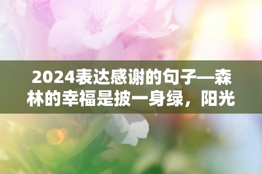 2024表达感谢的句子—森林的幸福是披一身绿，阳光的幸福是如钻石半耀眼