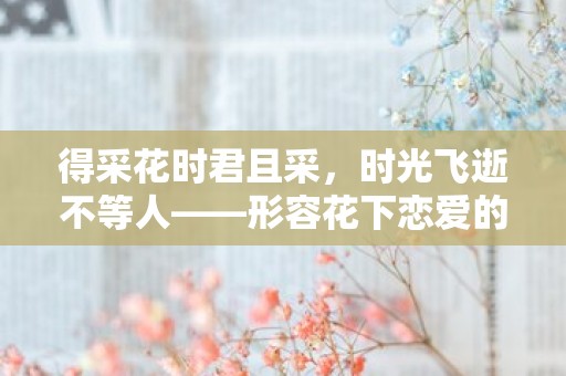 得采花时君且采，时光飞逝不等人——形容花下恋爱的诗句句子