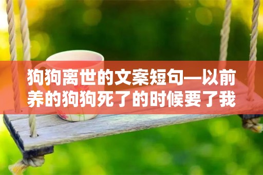 狗狗离世的文案短句—以前养的狗狗死了的时候要了我半条命一整个月没和人联系