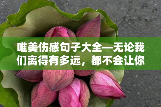 唯美伤感句子大全—无论我们离得有多远，都不会让你觉得孤单