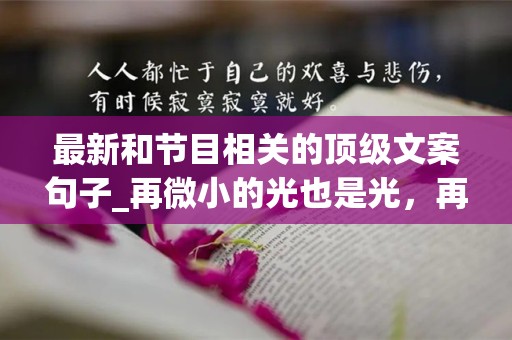 最新和节目相关的顶级文案句子_再微小的光也是光，再平凡的人也有他们人生当中的高光时刻