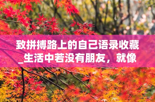 致拼搏路上的自己语录收藏_生活中若没有朋友，就像生涯中没有阳光一样