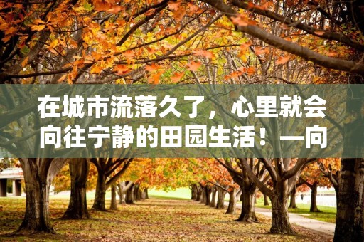 在城市流落久了，心里就会向往宁静的田园生活！—向往的田园生活的句子通用50条