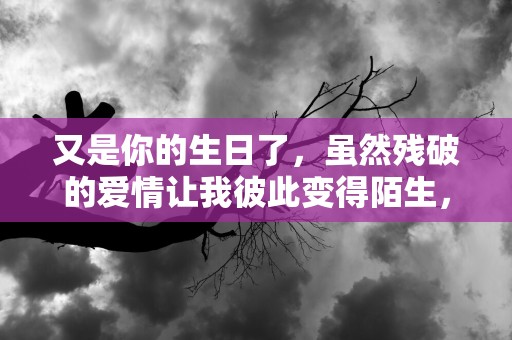 又是你的生日了，虽然残破的爱情让我彼此变得陌生，然而我从未忘你的生日