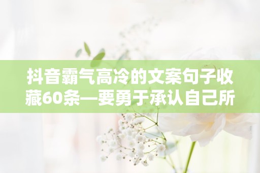 抖音霸气高冷的文案句子收藏60条—要勇于承认自己所犯的错误，并承担其带来的责任