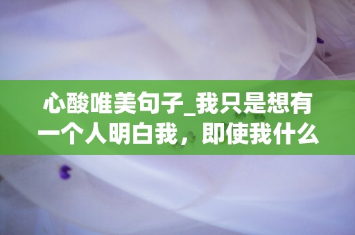 心酸唯美句子_我只是想有一个人明白我，即使我什么都没说