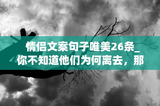   情侣文案句子唯美26条_你不知道他们为何离去，那句再见竟是最后一句