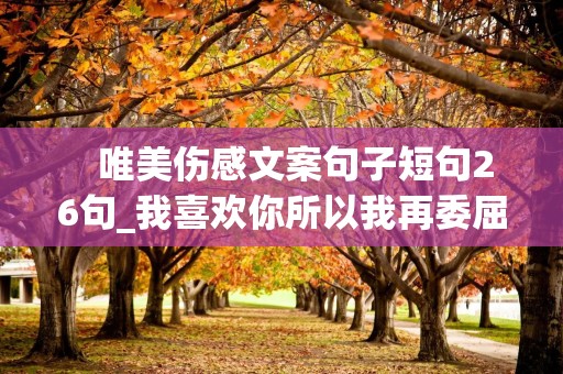    唯美伤感文案句子短句26句_我喜欢你所以我再委屈再难受都觉得是值得的