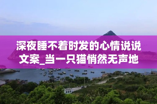 深夜睡不着时发的心情说说文案_当一只猫悄然无声地穿过我的夜时，失眠就开始与我纠缠不清了