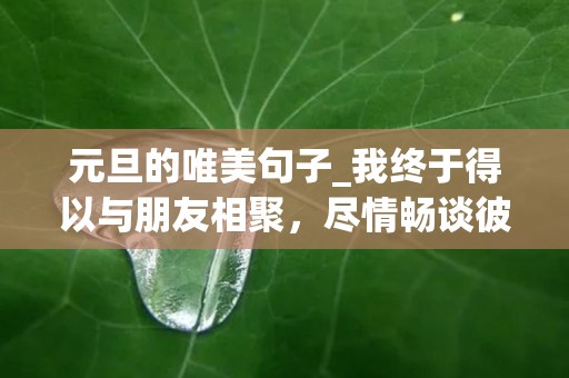 元旦的唯美句子_我终于得以与朋友相聚，尽情畅谈彼此的生活和梦想