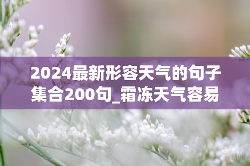 2024最新形容天气的句子集合200句_霜冻天气容易给道路带来结冰现象，开车需谨慎慢行