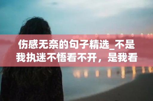 伤感无奈的句子精选_不是我执迷不悟看不开，是我看开了却放不下