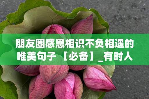 朋友圈感恩相识不负相遇的唯美句子 【必备】_有时人生就是无常又无奈，每个人都要学着去适应-第1张图片-觅纤