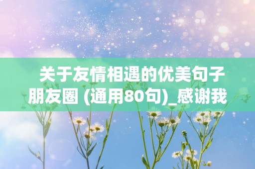   关于友情相遇的优美句子朋友圈 (通用80句)_感谢我不早不晚能遇见你，与你相遇是我最大的幸运