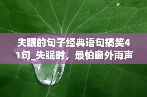 失眠的句子经典语句搞笑41句_失眠时，最怕窗外雨声如雷般的敏锐感官的震动