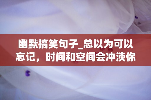 幽默搞笑句子_总以为可以忘记，时间和空间会冲淡你的爱情-第1张图片-觅纤