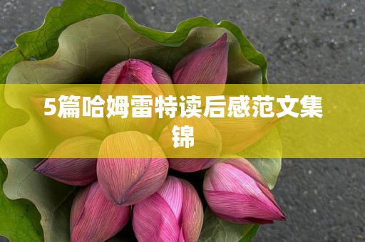 5篇哈姆雷特读后感范文集锦