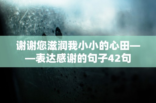 谢谢您滋润我小小的心田——表达感谢的句子42句