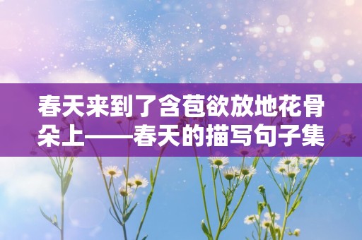 春天来到了含苞欲放地花骨朵上——春天的描写句子集合