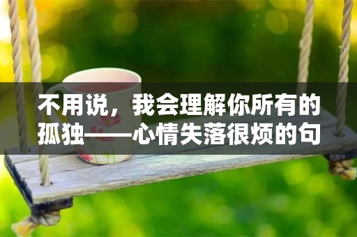 不用说，我会理解你所有的孤独——心情失落很烦的句子68句