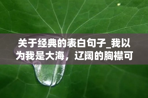 关于经典的表白句子_我以为我是大海，辽阔的胸襟可以海纳百川