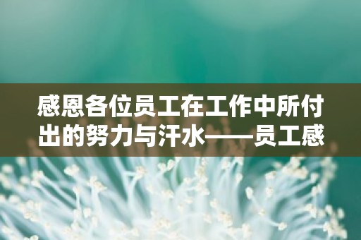 感恩各位员工在工作中所付出的努力与汗水——员工感恩句子集合