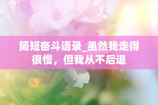 简短奋斗语录_虽然我走得很慢，但我从不后退