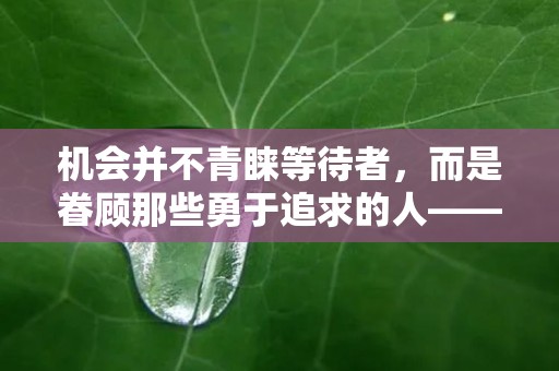 机会并不青睐等待者，而是眷顾那些勇于追求的人——2024最新复合的句子162句