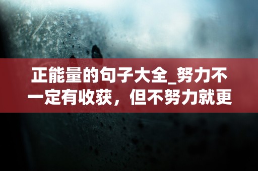 正能量的句子大全_努力不一定有收获，但不努力就更不会有收获