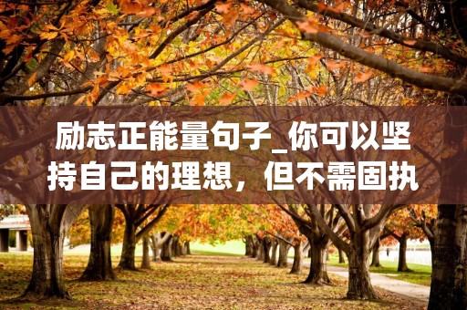 励志正能量句子_你可以坚持自己的理想，但不需固执自己的想法