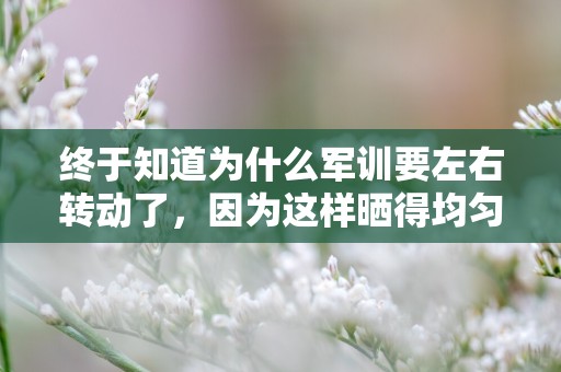 终于知道为什么军训要左右转动了，因为这样晒得均匀-开学军训幽默朋友圈文案