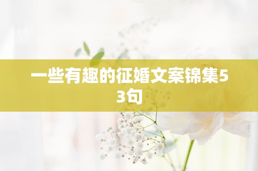 一些有趣的征婚文案锦集53句