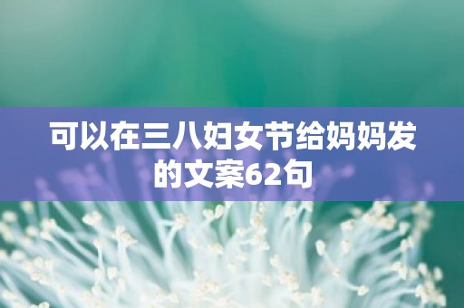 可以在三八妇女节给妈妈发的文案62句