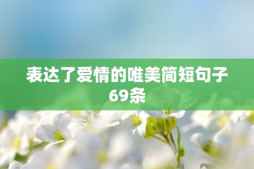 表达了爱情的唯美简短句子69条