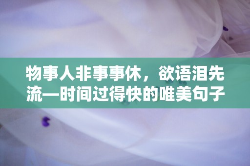 物事人非事事休，欲语泪先流—时间过得快的唯美句子