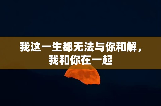 我这一生都无法与你和解，我和你在一起