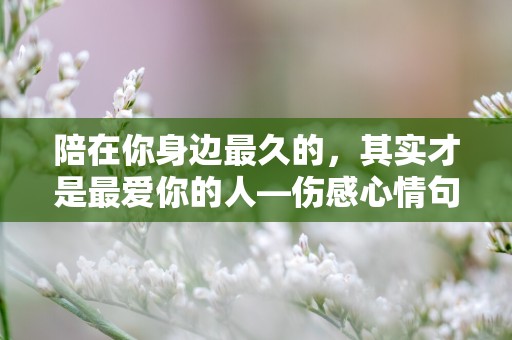 陪在你身边最久的，其实才是最爱你的人—伤感心情句子说说47句