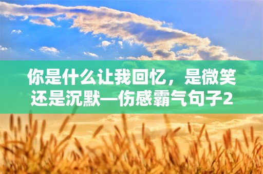 你是什么让我回忆，是微笑还是沉默—伤感霸气句子200句