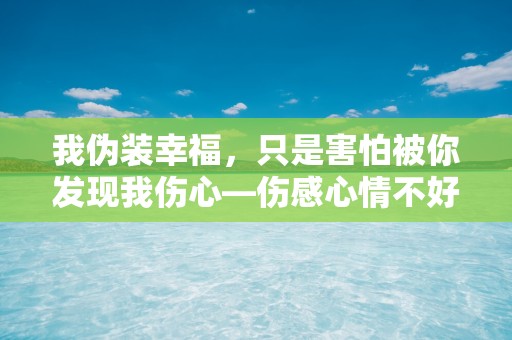 我伪装幸福，只是害怕被你发现我伤心—伤感心情不好的句子