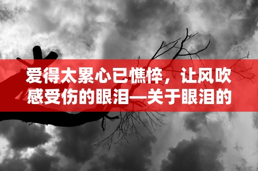 爱得太累心已憔悴，让风吹感受伤的眼泪—关于眼泪的唯美句子