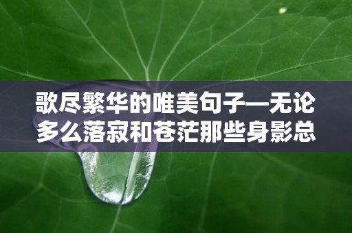 歌尽繁华的唯美句子—无论多么落寂和苍茫那些身影总会过目不忘