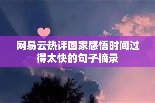 网易云热评回家感悟时间过得太快的句子摘录