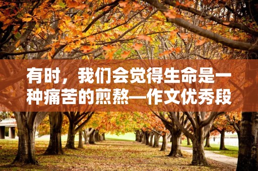 有时，我们会觉得生命是一种痛苦的煎熬—作文优秀段落大全