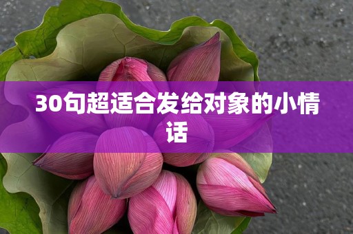 30句超适合发给对象的小情话