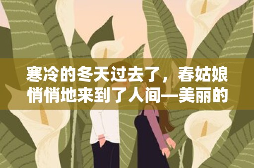 寒冷的冬天过去了，春姑娘悄悄地来到了人间—美丽的江滨公园作文15篇