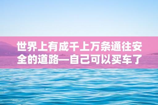 世界上有成千上万条通往安全的道路—自己可以买车了的心情说说