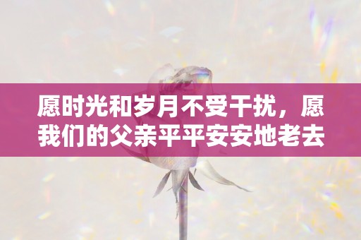 愿时光和岁月不受干扰，愿我们的父亲平平安安地老去—暖心短句情话