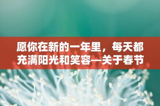 愿你在新的一年里，每天都充满阳光和笑容—关于春节拜年的句子176句