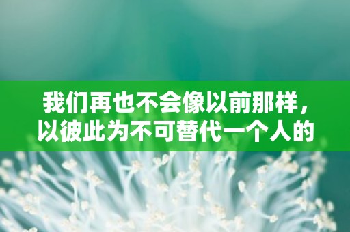 我们再也不会像以前那样，以彼此为不可替代一个人的唯美句子